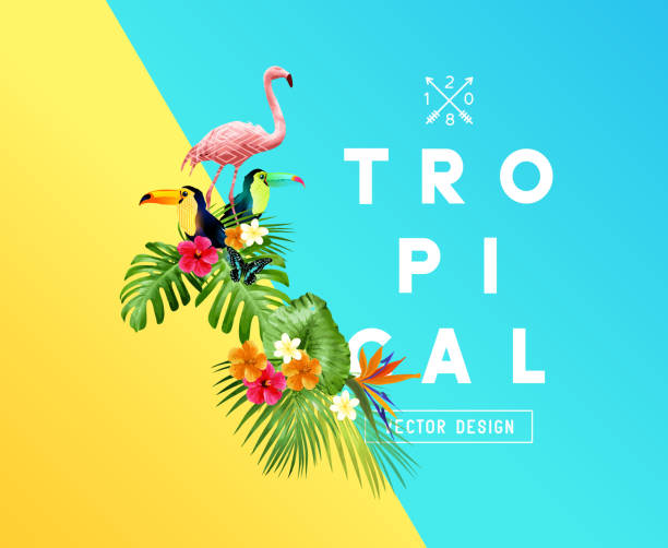 Tropical Floral Design Elements A set of bright tropical floral elements with Hibiscus flowers, toucans and Flamingos and a set of palm leaves. Vector illustration summer beauty stock illustrations