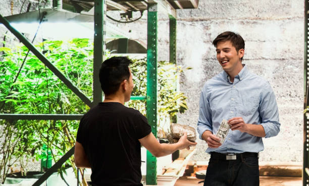 istock Customer buying legal marijuana 950676992