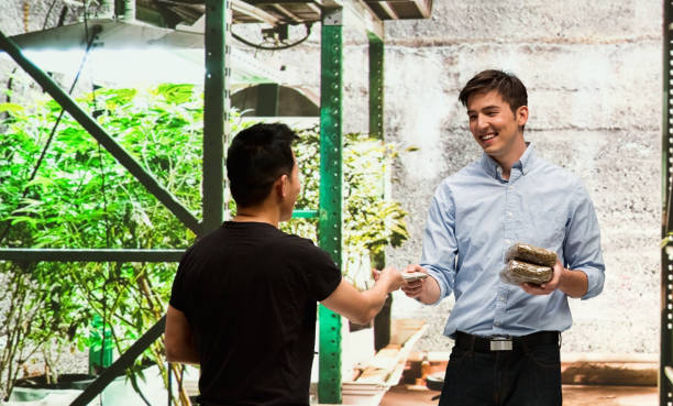 istock Customer buying legal marijuana 950677044