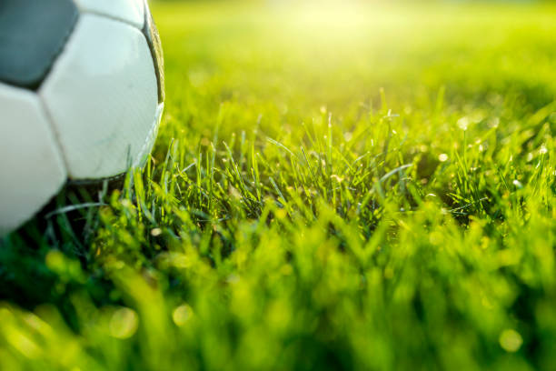 Soccer ball on green gras Photo of Traditional soccer ball on green  soccer field during bright sunny day. international soccer event photos stock pictures, royalty-free photos & images