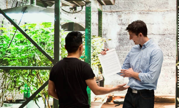 istock Customer buying legal marijuana 950679868