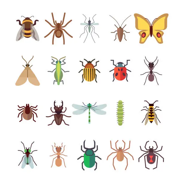 Vector illustration of Flat insects icons set. Butterfly, dragonfly, spiders, ant isolated on white background