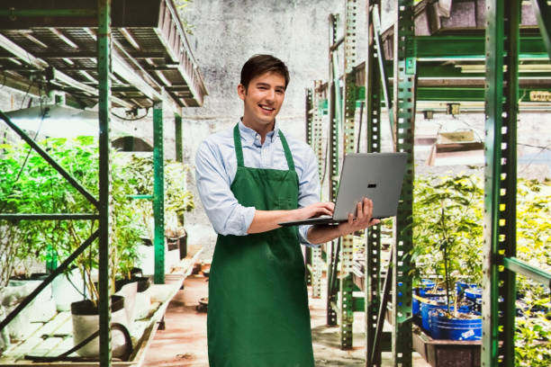 istock Worker is showing off a marijuana business 950680194