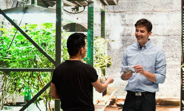 istock Customer buying legal marijuana 950680206