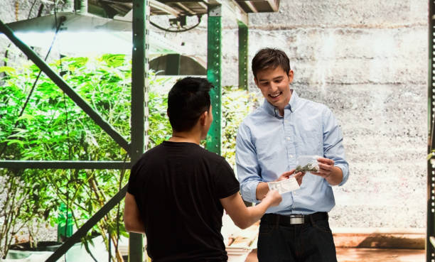 istock Customer buying legal marijuana 950680582
