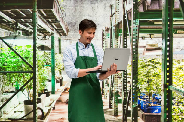 istock Worker is showing off a marijuana business 950680692