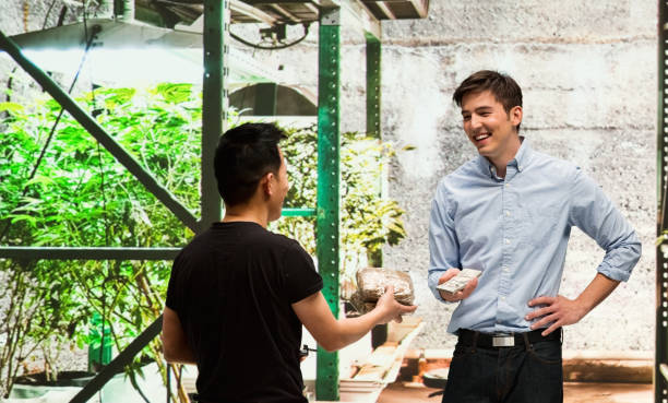 istock Customer buying legal marijuana 950680768