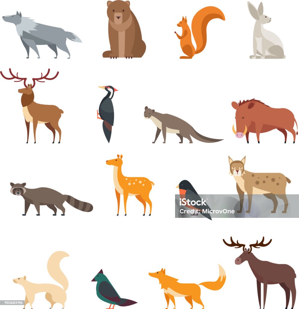 Aves e animais selvagens da floresta Cartum vector conjunto isolado. Plano de veado, urso, coelho, esquilo, lobo, raposa, guaxinim, coruja - Vetor de Animal royalty-free