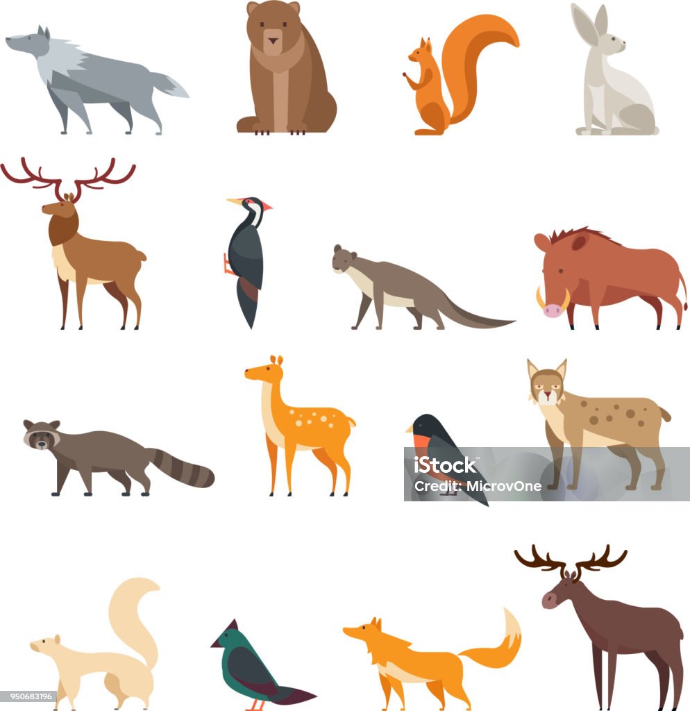 Forest wild animals and birds cartoon vector set isolated. Flat deer, bear, rabbit, squirrel, wolf, fox, raccoon, owl Forest wild animals and birds cartoon vector set isolated. Flat deer, bear, rabbit, squirrel, wolf, fox, raccoon, owl. Wild forest animal, cartoon character collection illustration Animal stock vector