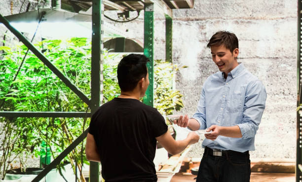 istock Customer buying legal marijuana 950683422