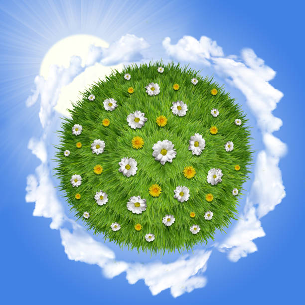 istock Nature  green grass planet with sun light 950683462