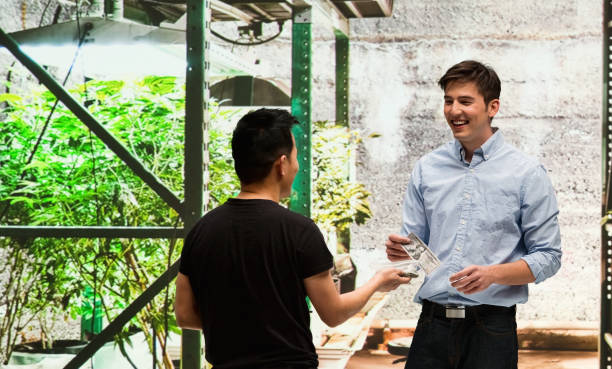 istock Customer buying legal marijuana 950684676