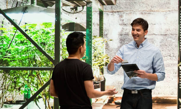 istock Customer buying legal marijuana 950686032