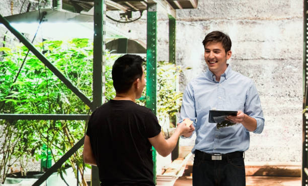 istock Customer buying legal marijuana 950687472