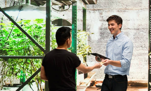 istock Customer buying legal marijuana 950687672
