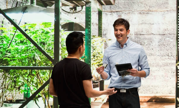 istock Customer buying legal marijuana 950687938