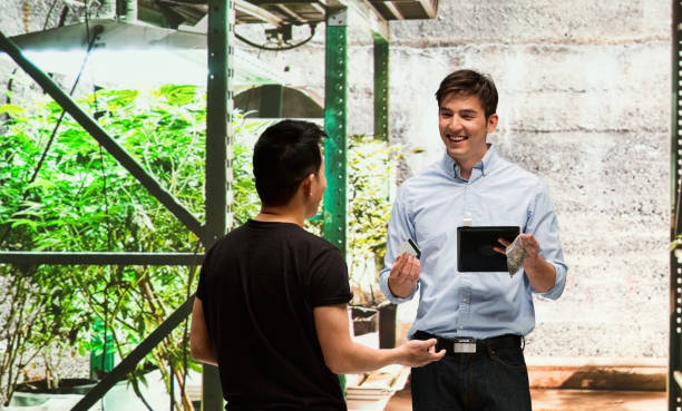 istock Customer buying legal marijuana 950688404