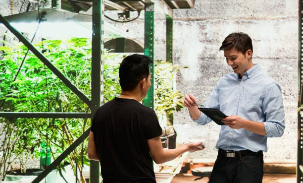 istock Customer buying legal marijuana 950689852