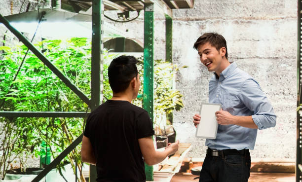 istock Customer buying legal marijuana 950690206