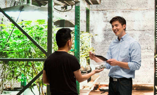 istock Customer buying legal marijuana 950690714