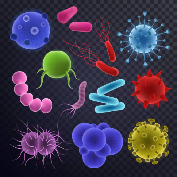 ilustrações, clipart, desenhos animados e ícones de vírus vector conjunto virulento ilustração do vírus-como a doença da infecção bacteriana de micróbio de organismos de microbiologia ou bactérias isoladas em fundo transparente - hiv cell human cell retrovirus