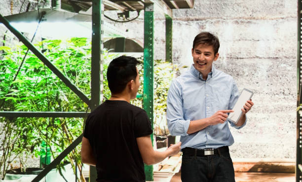 istock Customer buying legal marijuana 950692792