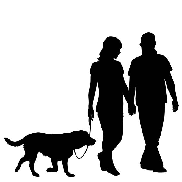 ilustrações, clipart, desenhos animados e ícones de silhueta de cachorro de tomar par para caminhada - casal de meia idade