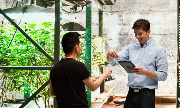 istock Customer buying legal marijuana 950693378