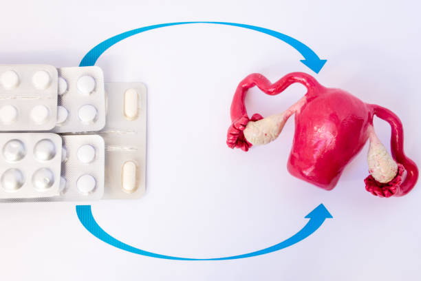 ampollas de pila con pastillas y cápsulas dentro de flechas puntiagudas en el modelo de útero con los ovarios. foto de concepto de terapia de reemplazo hormonal en ginecología en la menopausia, clímax, quitado los ovarios - hormone therapy hrt pill medicine fotografías e imágenes de stock