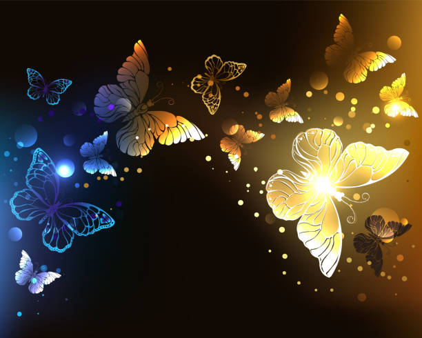 대조 밤 나비 - spring abstract insect dreams stock illustrations