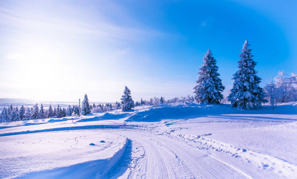 istock Snowy winter landscape from Sotkamo, Finland. 950699112