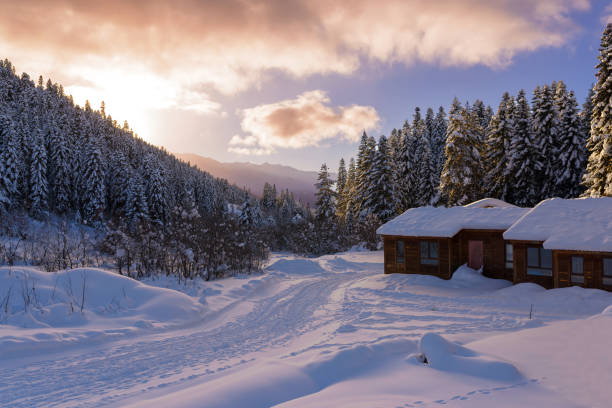 istock nice house in the cozy village 950699262
