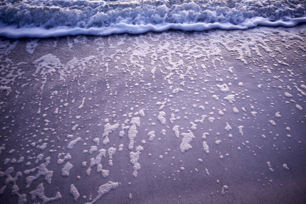 istock Sea foam from the receding tide on wet beach sand 950739244
