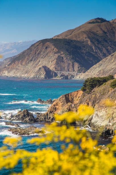 istock Big Sur, California Central Coast, USA 950739592