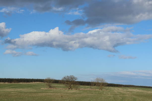 Fluffy white clouds in blue sky Cloudscape stratosphere meteorology climate air stock pictures, royalty-free photos & images