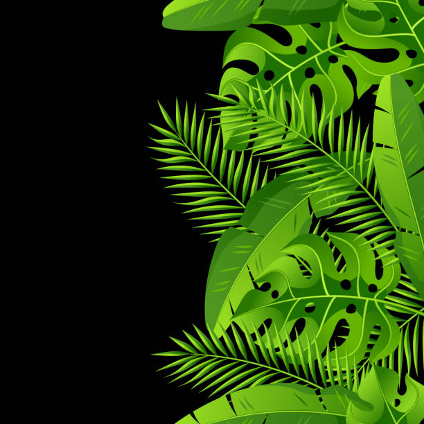 istock Seamless pattern with tropical palm leaves. Exotic tropical plants. Illustration of jungle nature 950757556