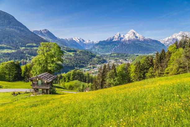 istock Idyllic mountain scenery with traditional mountain chalet in the Alps in springtime 950758008