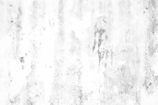 istock White Grunge Concrete Wall Texture Background, Suitable for Presentation and Web Templates. 950763476