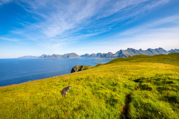 istock Lofoten island, Norway 950763780