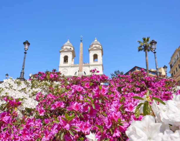 istock Azaleas at the Spanish Steps, Rome Italy 950763950