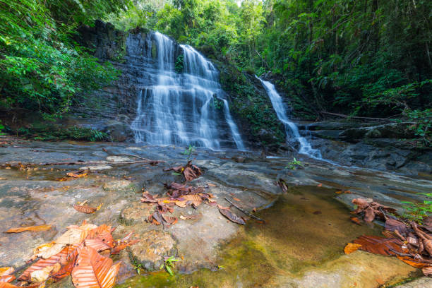 cascada de la selva de borneo, idílico corriente que fluye en la exuberante selva del parque nacional de kubah, sarawak, malasia. efecto borroso sobre el agua, larga exposición. - flowing water stream moss river fotografías e imágenes de stock