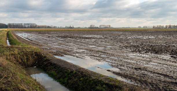 istock Wet agriculture field 950773194