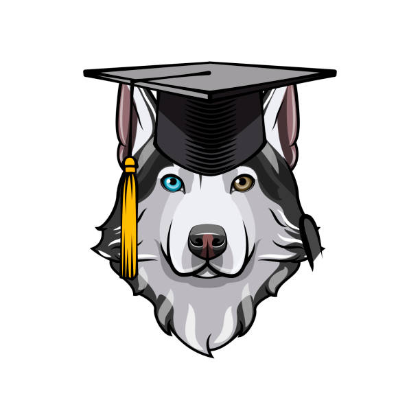 illustrations, cliparts, dessins animés et icônes de diplômé de husky sibérien. chapeau de graduation de cap. chien de race. vector. - dog graduation hat school