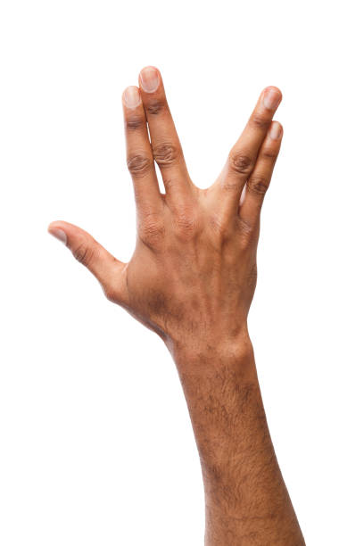 istock Black man hand gesturing in the form of crocodile 950776604