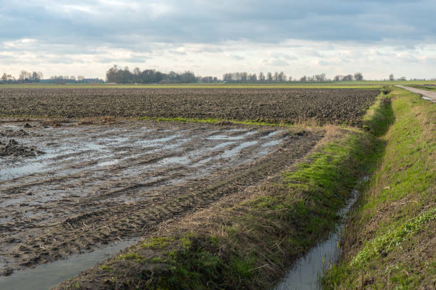 istock Agricultural fields in the winter season 950777742