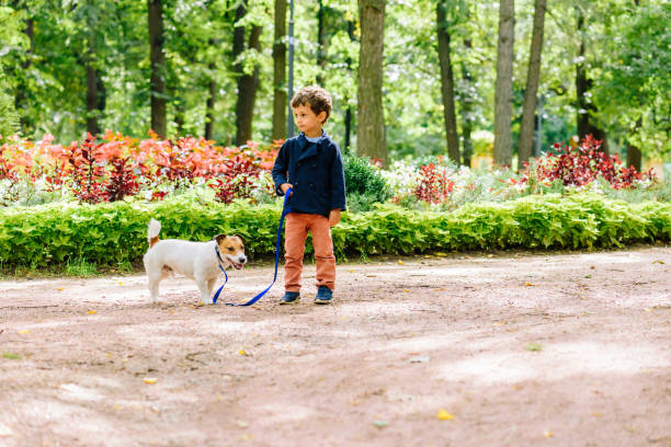 istock Kid boy walking with dog on leash at park 950779122