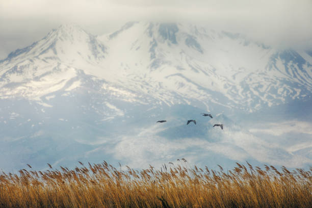 Sultan Reedy National Park and Mount Erciyes