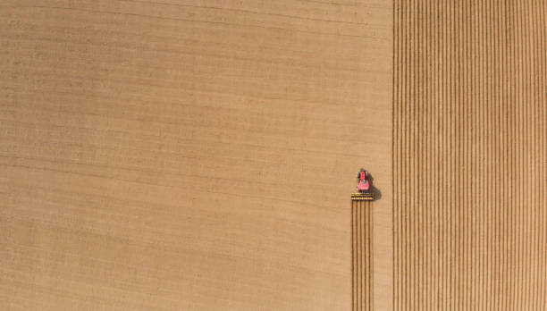 aerial view of plowing fields - crop farm nature man made imagens e fotografias de stock