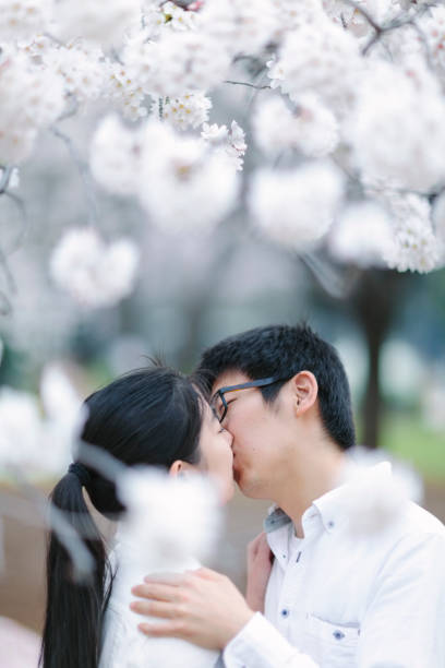 istock Couple kissing each other under sakura tree 950787534