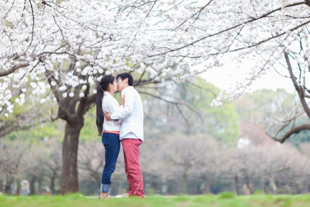 istock Couple kissing each other under sakura tree 950787556